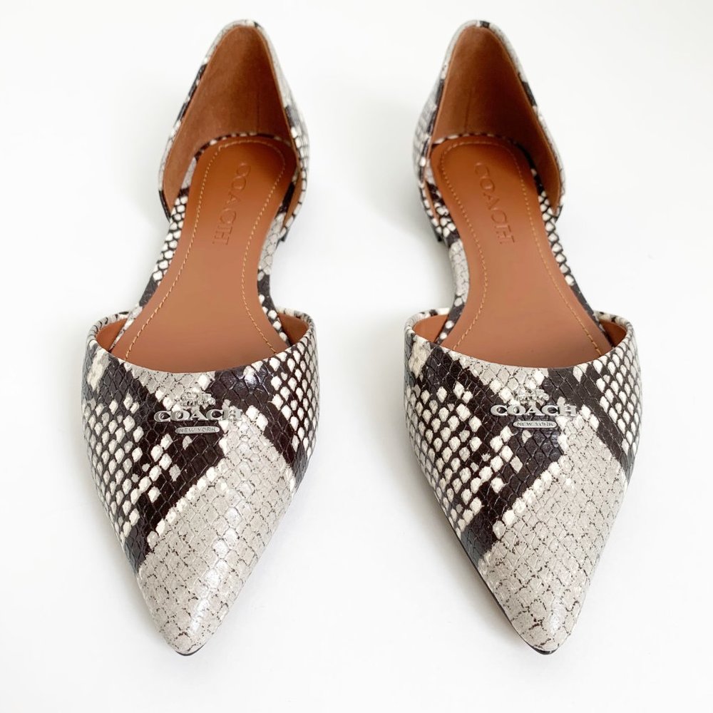 ❌SOLD- COACH Printed Exotic Pointy Toe Flat 5.5 - Picture 6 of 11